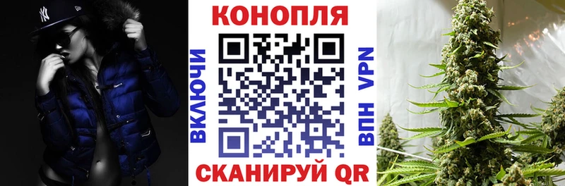 Канабис сатива omg ONION Фролово где купить наркотик